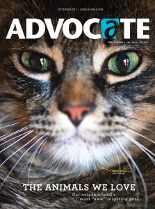 Monkey, the cat, graced the cover of last year's pet issue. 