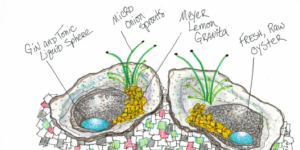 A conceptual drawing for martini oysters from chef Adam Aschner