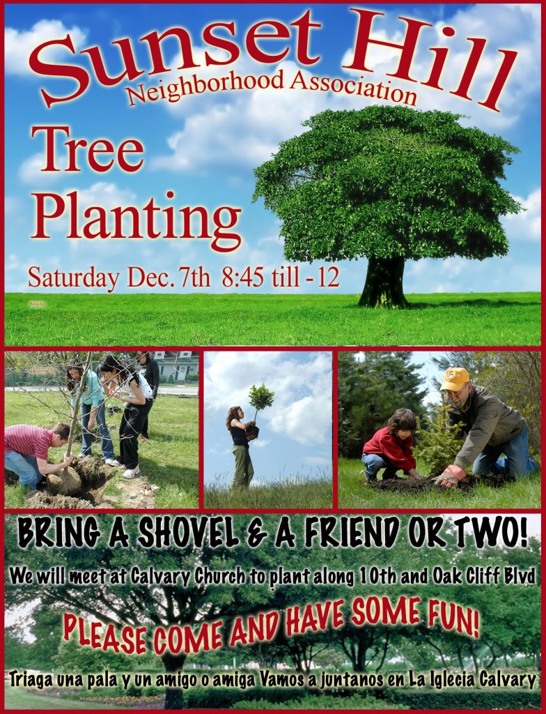 treee planting