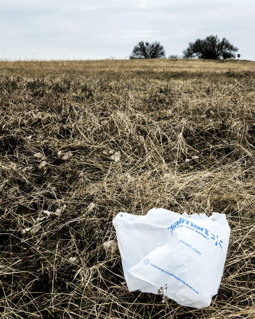 A plastic bag caught in the brush at Boy Scout Hill. Dallas City Council approved restrictions on plastic bags Wednesday. Photo by Danny Fulgencio