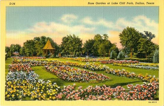 rose garden postcard
