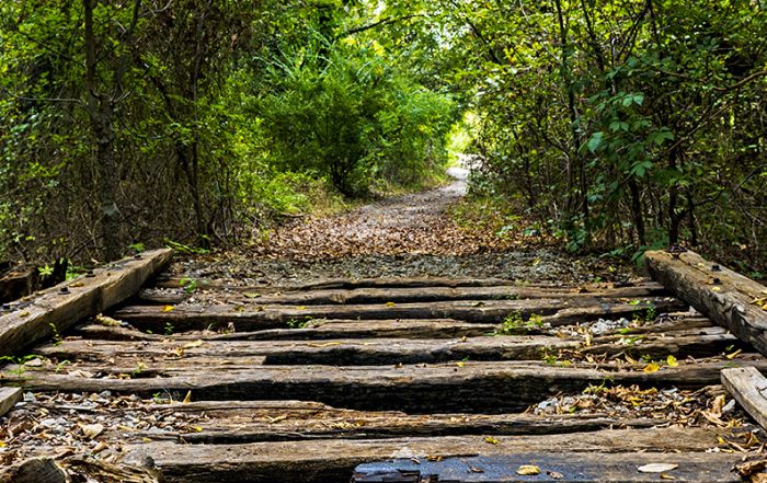Chalk Hill Trail (Photo by Danny Fulgencio)