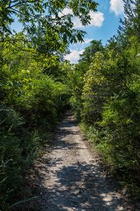 Chalk Hill Trail (Photo by Danny Fulgencio)