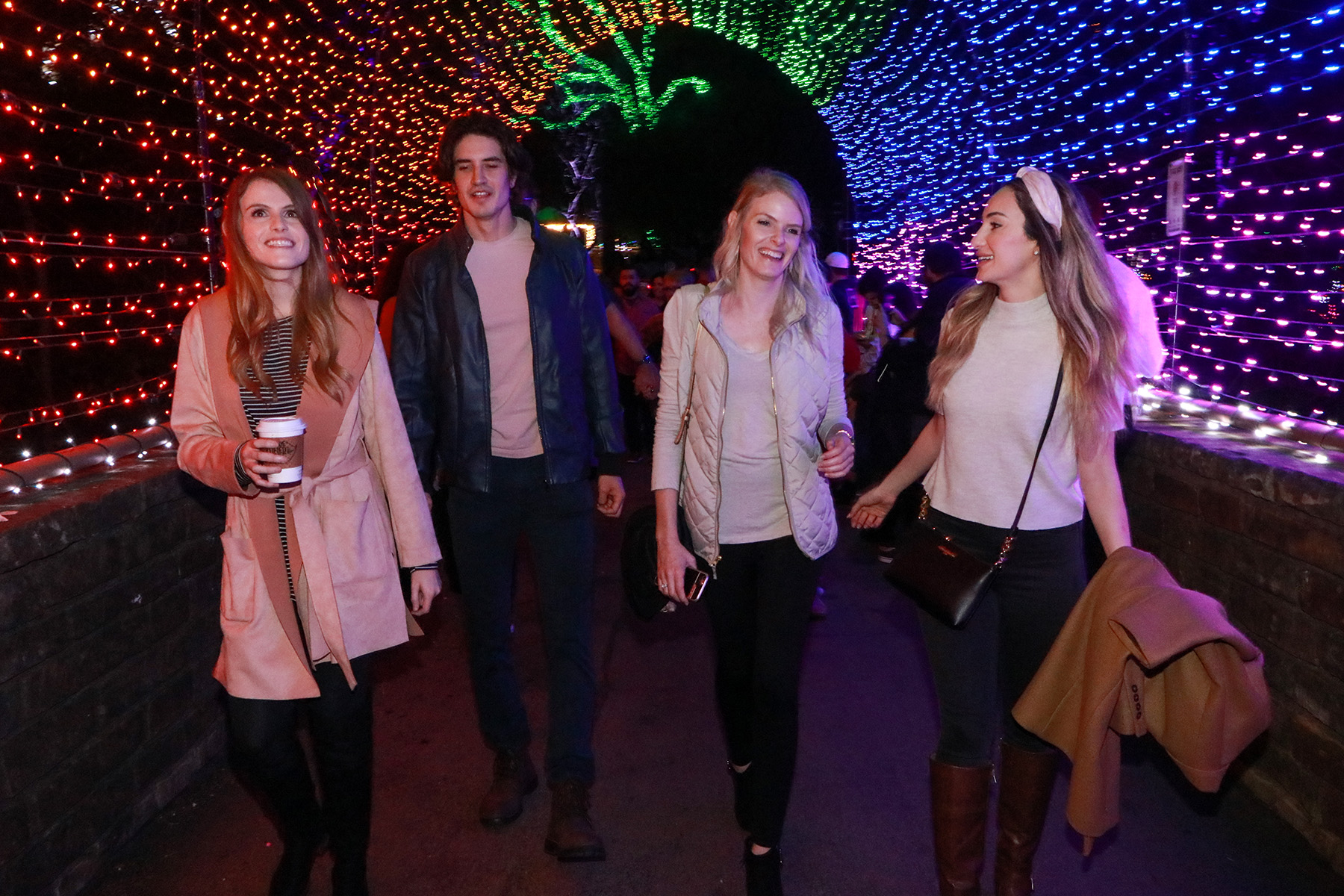Holiday lights exhibit returns to Dallas Zoo Oak Cliff