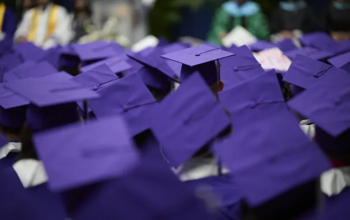 Purple graduation caps from Dallas ISD Hub