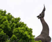 Giraffe statue outside the Dallas Zoo. Photo by Danny Fulgencio.