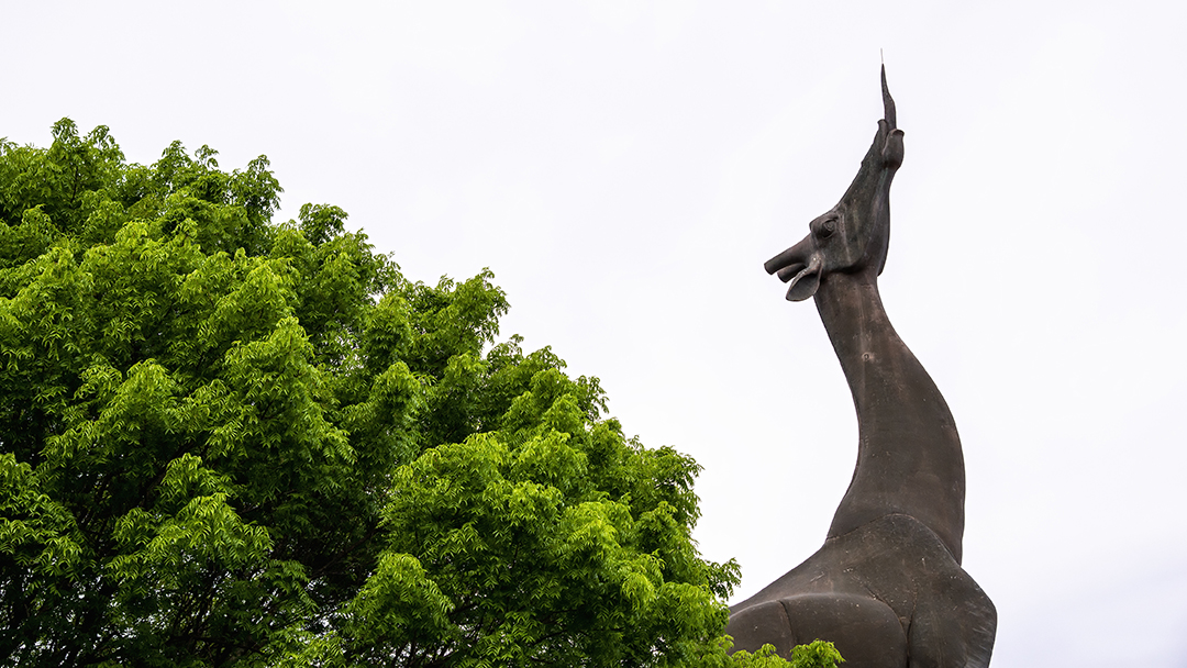 Giraffe statue outside the Dallas Zoo. Photo by Danny Fulgencio.