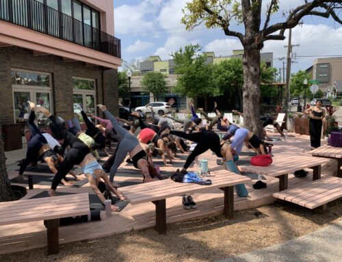 Jungle Fitness Studio connects physical with celestial during total solar eclipse yoga class