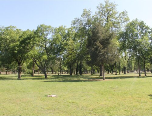 Construction begins for new east Oak Cliff park named for Dallas businessman