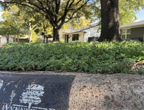 Wynnewood North neighbors celebrate 75th anniversary this weekend