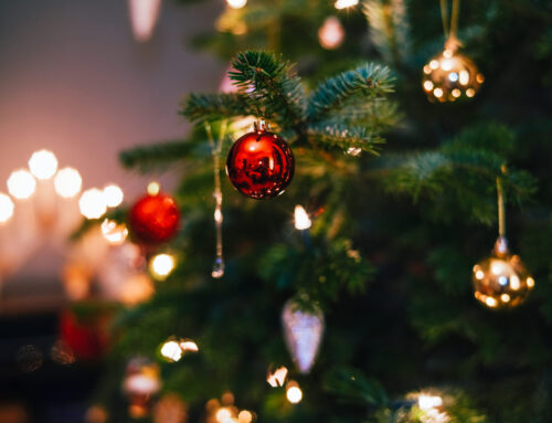 How to dispose of the Christmas tree this year