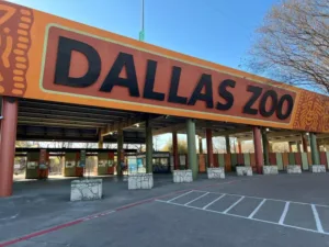 KERA: Dallas Zoo slashes membership costs for SNAP and WIC recipients