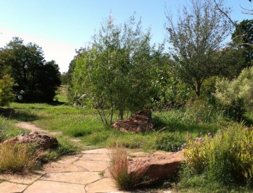 Twelve Hills Nature Center celebrates 21 years with Wild Beauty event