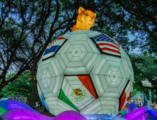 Dallas Zoo opens new after-hours lantern festival Illuminature