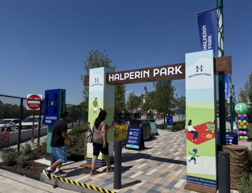 Halperin Park to host free watch parties for FIFA World Cup