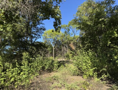 Woody Branch Park community meeting happening Oct. 8
