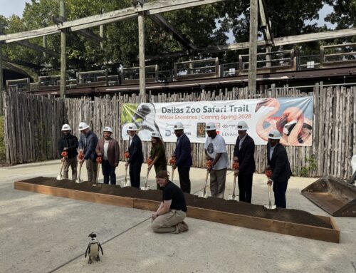 Dallas Zoo breaks ground on African Shorelines